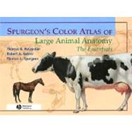 Spurgeon's Color Atlas of Large Animal Anatomy: The Essentials 9780683306736