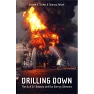 Drilling Down : The Gulf Oil Debacle and Our Energy Dilemma 9781441976765