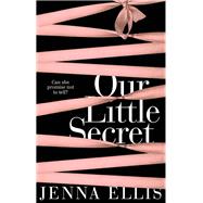 Our Little Secret 9781447266785