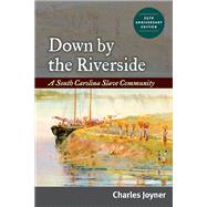 Down by the Riverside : A South Carolina Slave Community 9780252076831