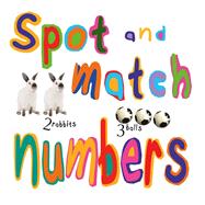 Spot and Match Numbers 9781910706831