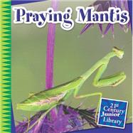 Praying Mantis 9781633626836