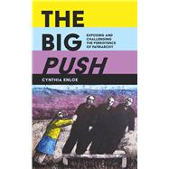 The Big Push 9780520296893