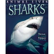 Sharks 9781609926908