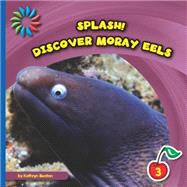 Discover Moray Eels 9781633626911