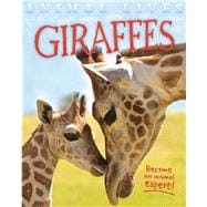 Giraffes 9781609926922
