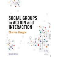 Social Groups in Action and Interaction: 2nd Edition 9781848726925