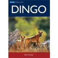 Dingo