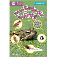 From Tadpole to Frog 9781609926939