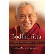 Bodhichitta 9781614296966