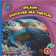 Discover Sea Turtles 9781633626973