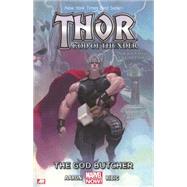 Thor: God of Thunder Volume 1 9780785166979