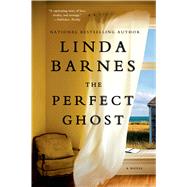 The Perfect Ghost 9781250036988