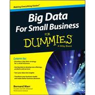 Big Data for Small Business for Dummies 9781119027034