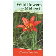 Wildflowers of the Midwest 9781591937036
