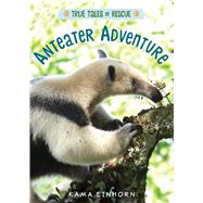 Anteater Adventure 9781328767042