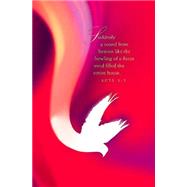 Suddenly Pentecost Bulletin 2015, Regular 9781426777042