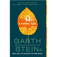 A Sudden Light A Novel 9781439187043