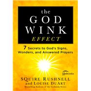 The Godwink Effect 9781501127083