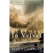 In Velvet A Novel 9781940207100