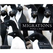 Migrations Wildlife in Motion 9781608877140