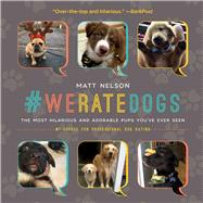 #weratedogs