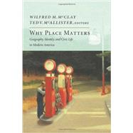 Why Place Matters: Geography, Identity, and Civic Life in Modern America 9781594037160
