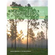 Florida's Magnificent Land 9781561647187
