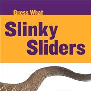 Slinky Sliders 9781633627215