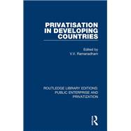 Privatisation in Developing Countries