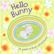 Hello Bunny 9781445477268