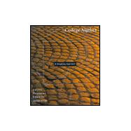 College Algebra : A Graphing Approach