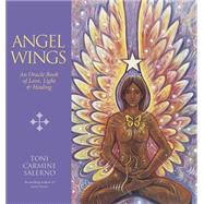 Angel Wings 9780738747330