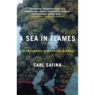 A Sea in Flames 9780307887368