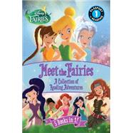 Disney Fairies: Meet the Fairies 9780316337397