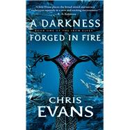 A Darkness Forged in Fire 9781501127403