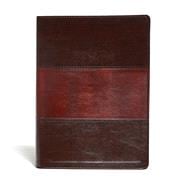 KJV Study Bible Large Print Edition, Saddle Brown LeatherTouch 9781433607455