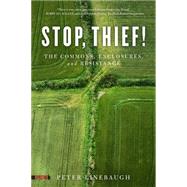 Stop, Thief!: The Commons, Enclosures, and Resistance 9781604867473