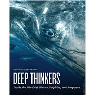 Deep Thinkers