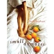 Small Damages 9780399257483