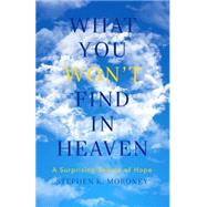 What You Won't Find in Heaven 9781941337486