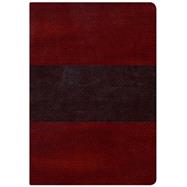 HCSB Large Print Study Bible, Mahogany LeatherTouch Indexed 9781433607493