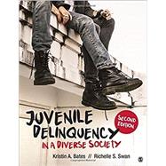 Juvenile Delinquency in a Diverse Society 9781506347493