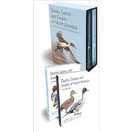 Ducks, Geese, and Swans of North America 9781421407517