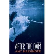 After the Dam 9781597097536