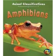 Amphibians 9781484607565