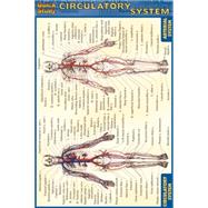 Circulatory System Reference Guide
