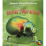 Invertebrates 9781484607596
