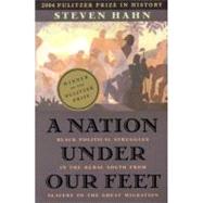 A Nation Under Our Feet 9780674017658