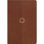 The HCSB Essential Teen Study Bible, Walnut LeatherTouch 9781433607660